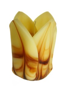 Belysan "Tulip"
