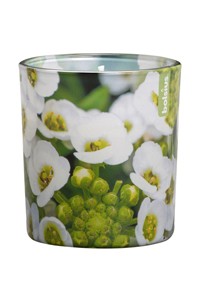 Geurglas 'Lepelblad'
