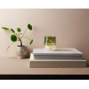 Bolsius Clean Light Geurnavulling Cedarwood & Vetiver