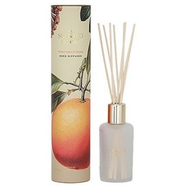 Ashleigh & Burwood Winter Spice & Orange  Geurstokjes