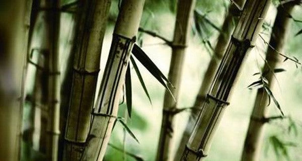 Bamboo candle cover