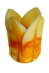 Belysan "Tulip"