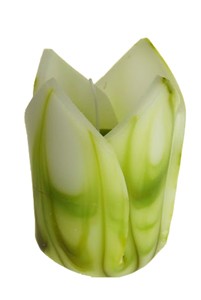 Belysan "Tulip"