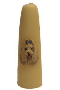 Gelegenheidskaars 'Matheus leeuwtje'