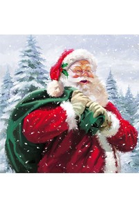 Servetten 'Santa Ho Ho Ho!'